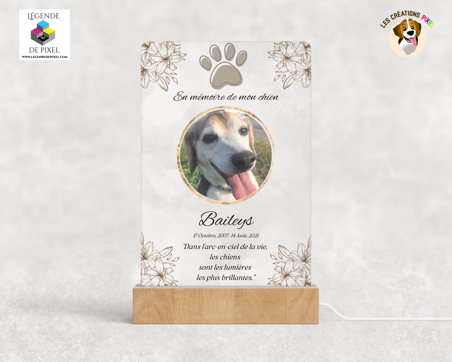 Lampe veilleuse personnalisée avec votre photo – En mémoire de mon chien