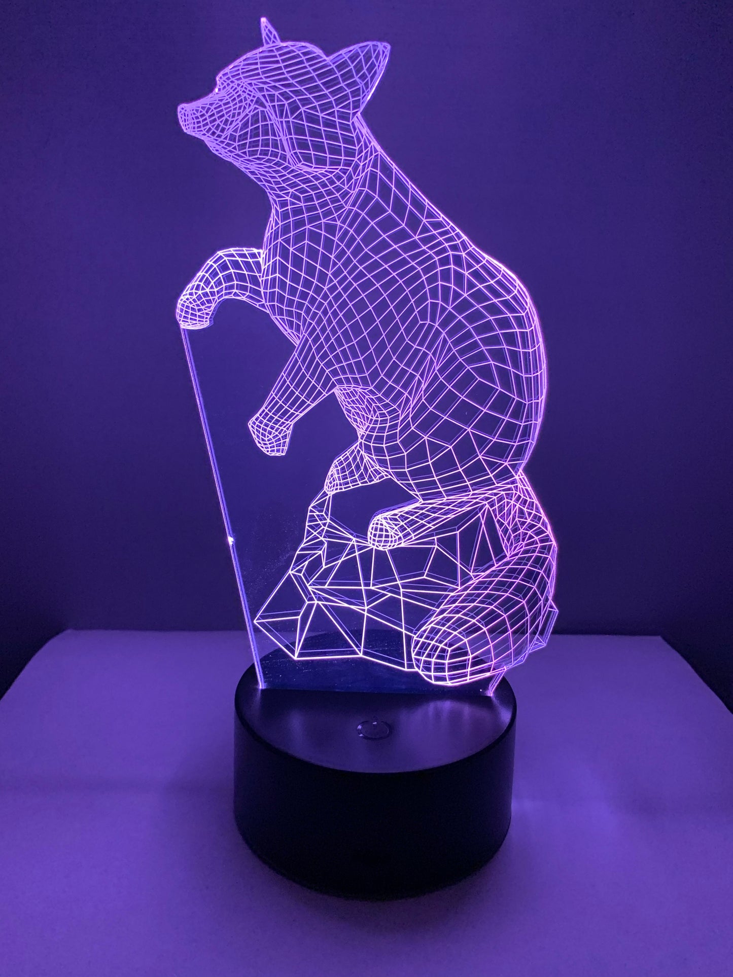 Lampe 3D DEL Raton Laveur