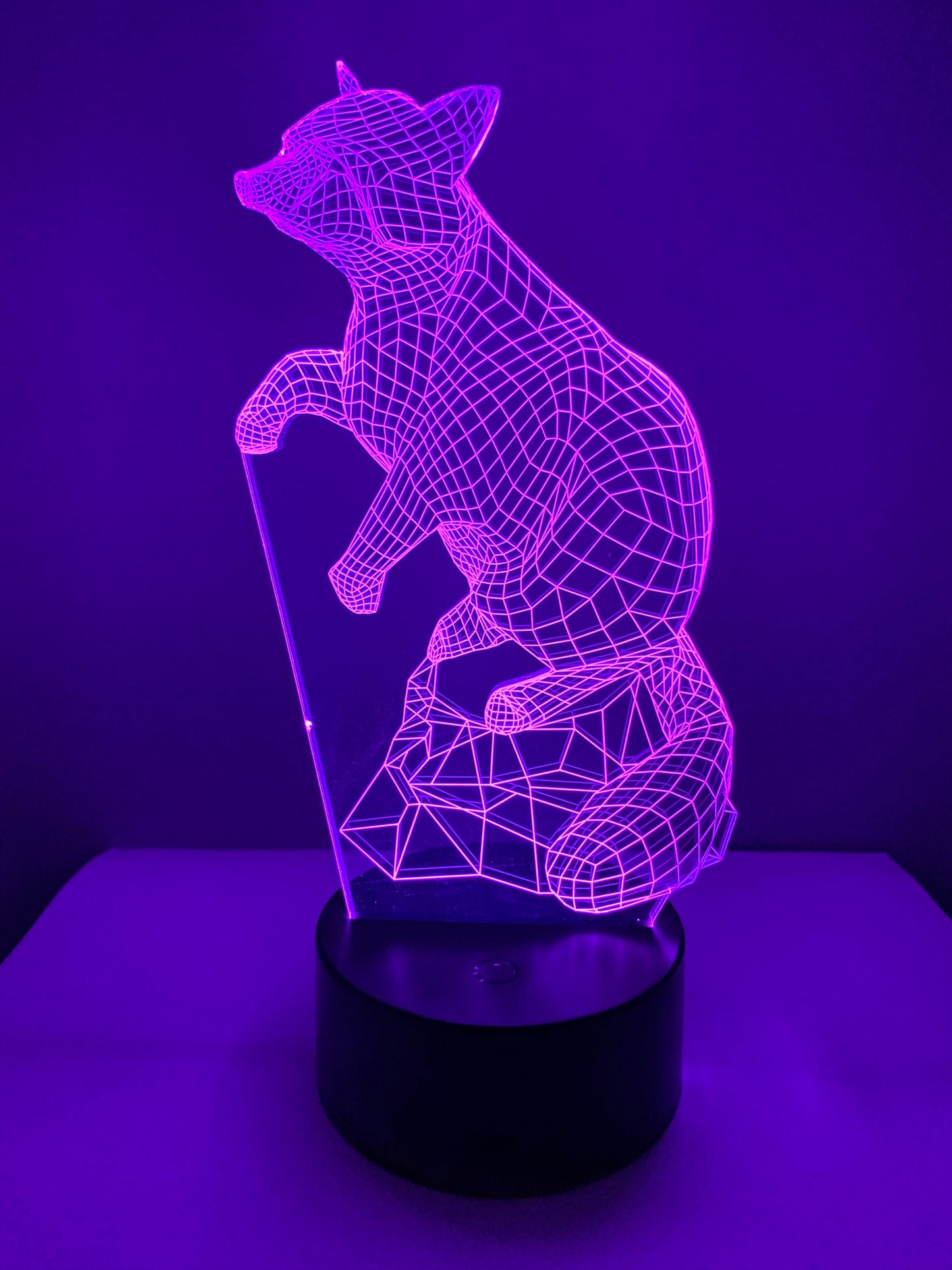 Lampe 3D DEL Raton Laveur