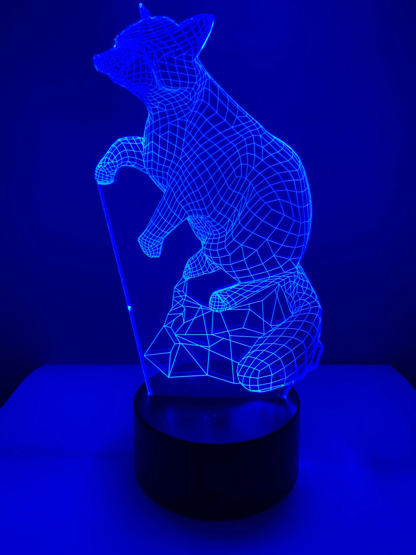 Lampe 3D DEL Raton Laveur