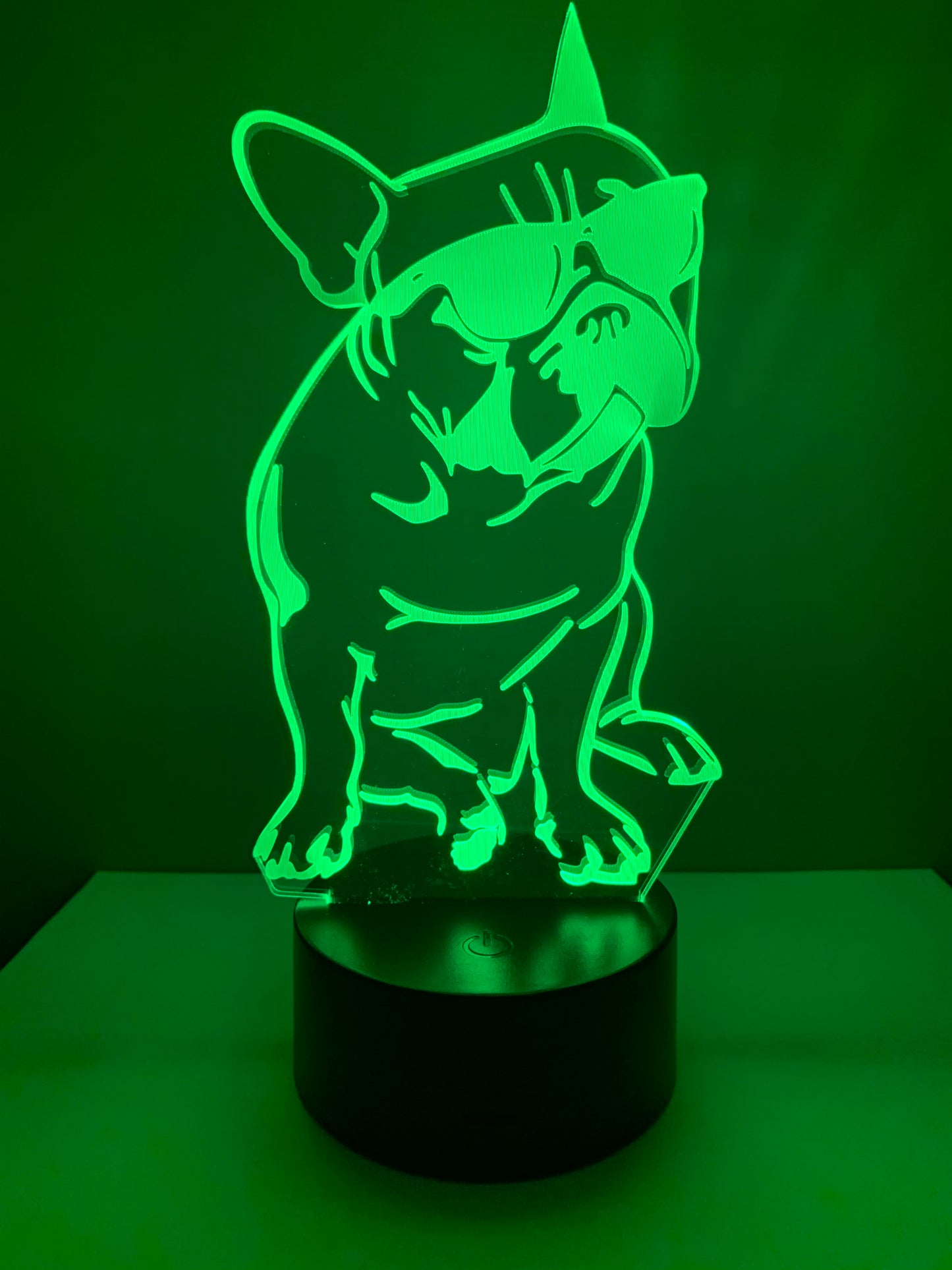 Lampe 3D DEL Chien avec lunettes