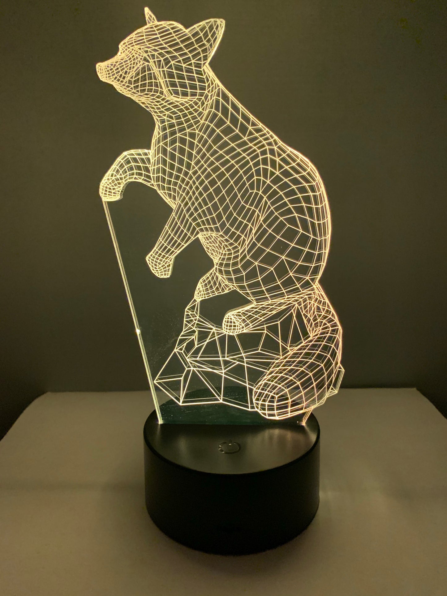 Lampe 3D DEL Raton Laveur