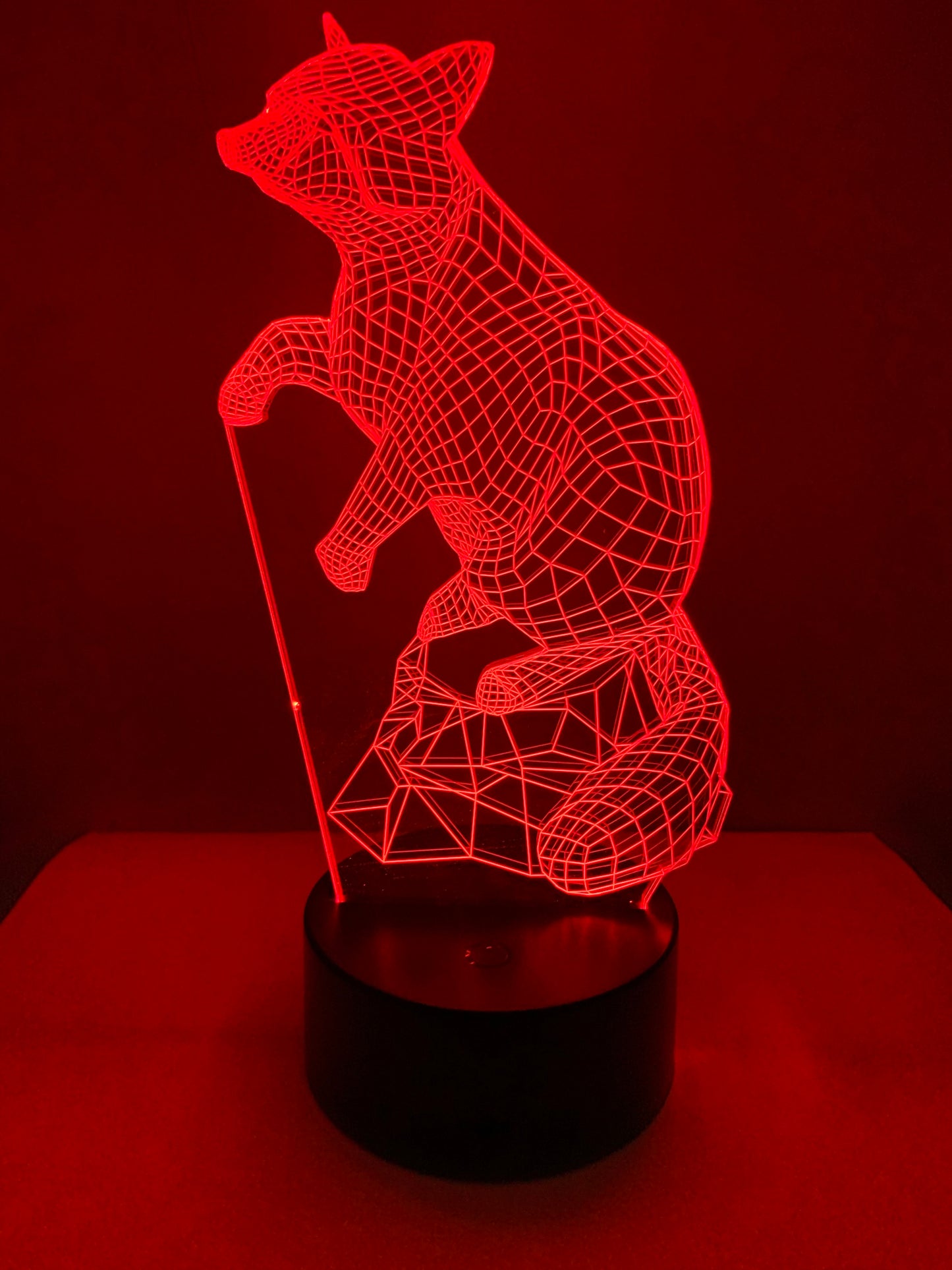 Lampe 3D DEL Raton Laveur