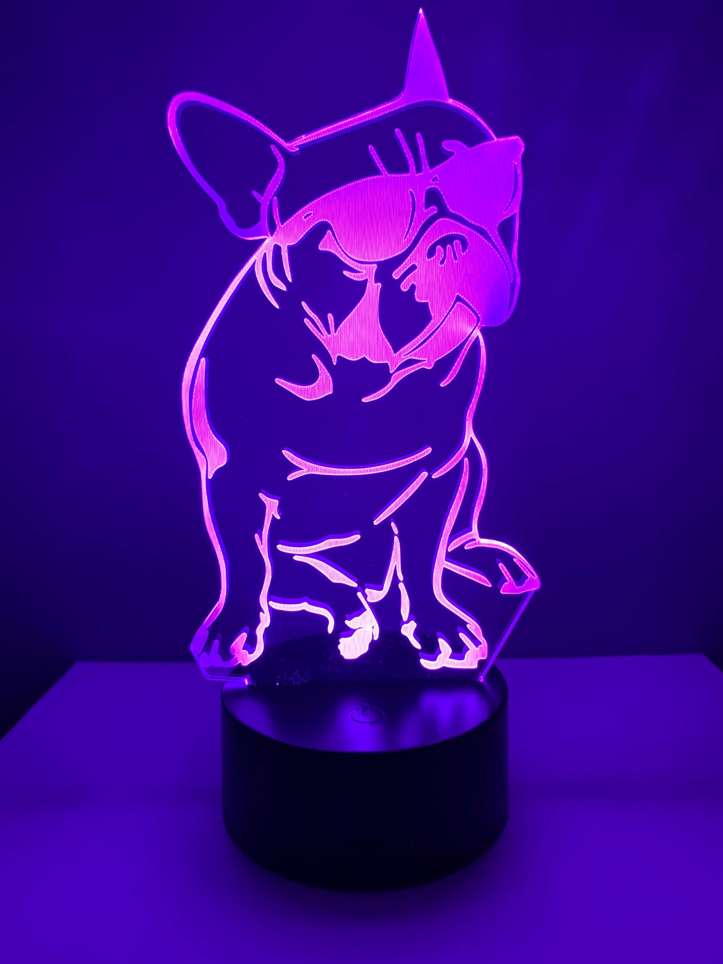 Lampe 3D DEL Chien avec lunettes