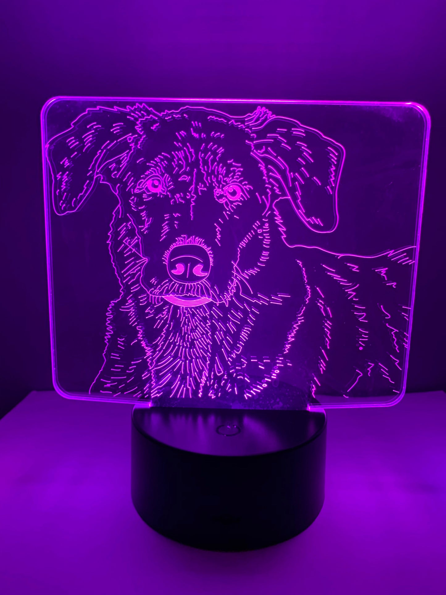 Lampe 3D DEL Chien Labrador