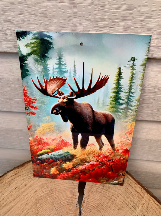 Affiche en métal Orignal 🫎 dans un décor d’automne 🍂