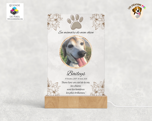 Lampe veilleuse personnalisée avec votre photo – En mémoire de mon chien