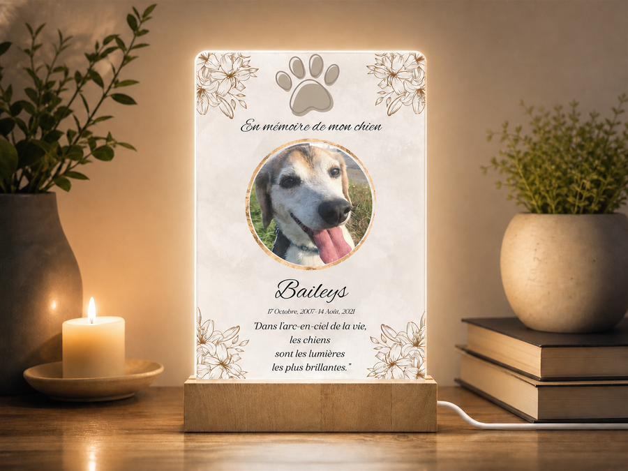 Lampe veilleuse personnalisée avec votre photo – En mémoire de mon chien