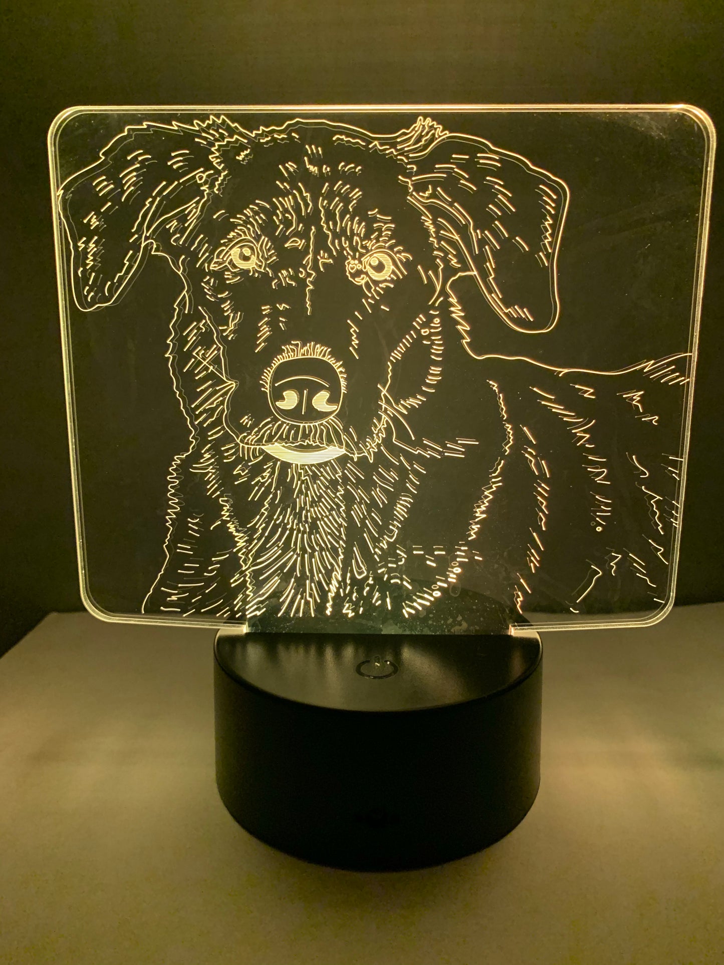 Lampe 3D DEL Chien Labrador