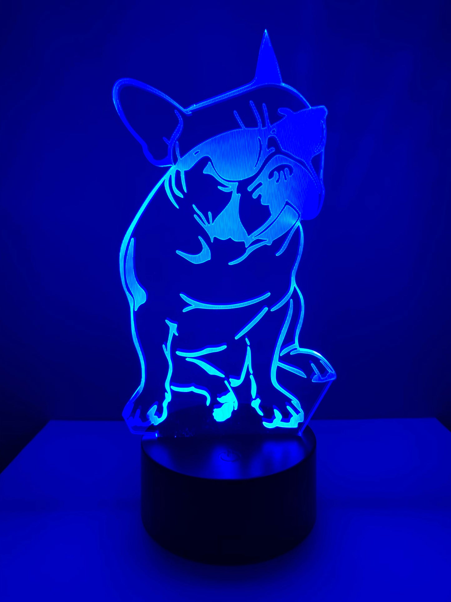 Lampe 3D DEL Chien avec lunettes